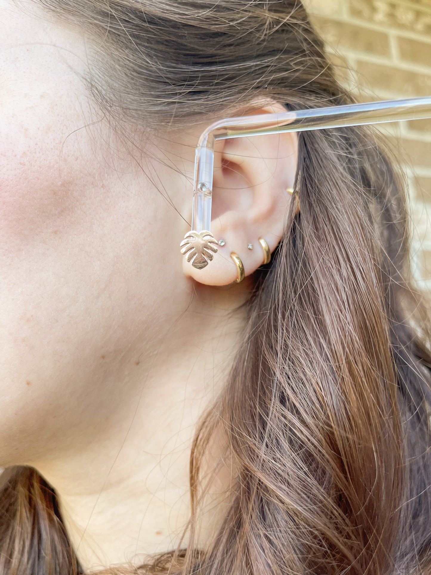 Monstera Studs