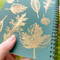 Fall Leaves Journal