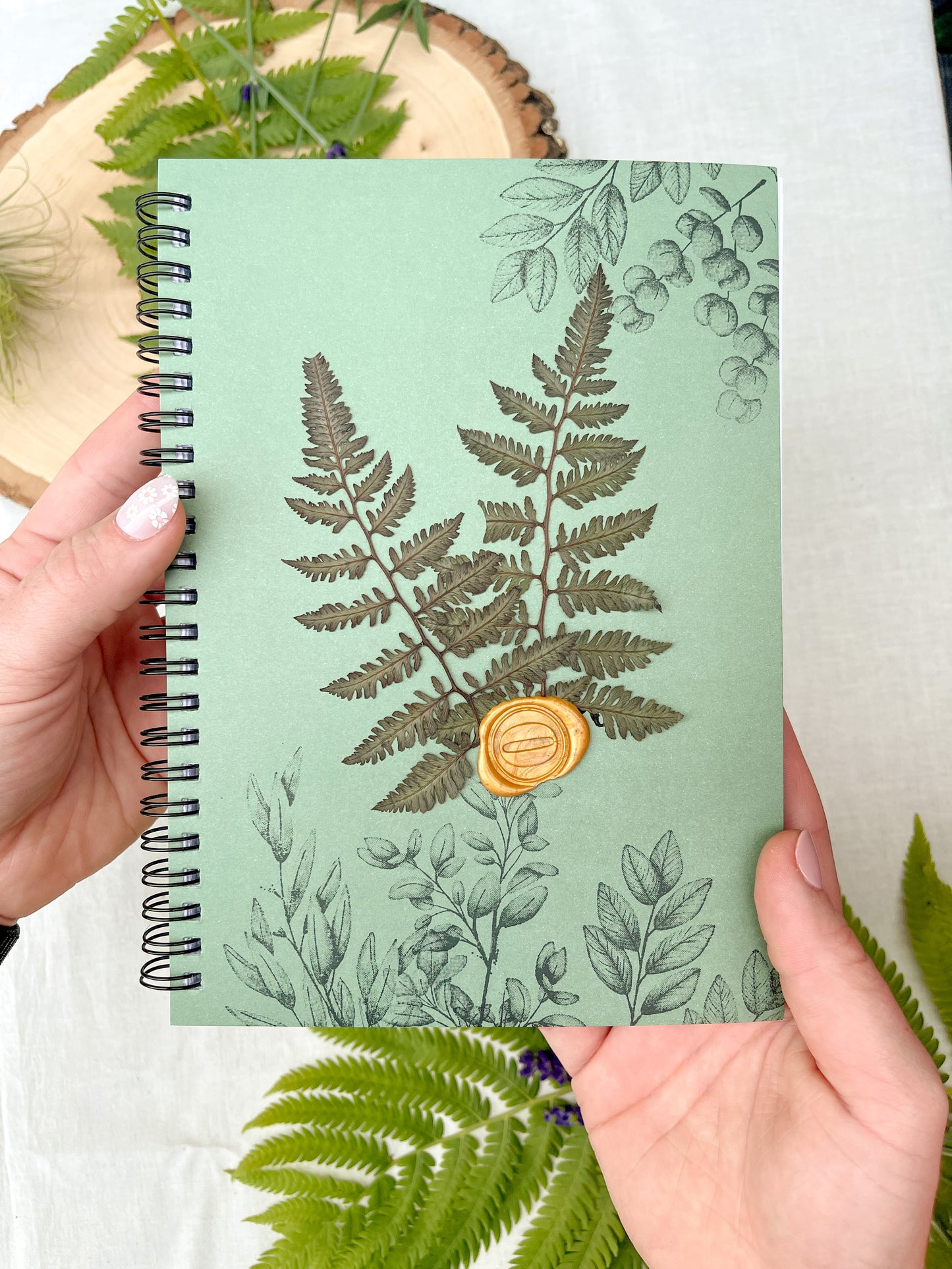 Fern Journal