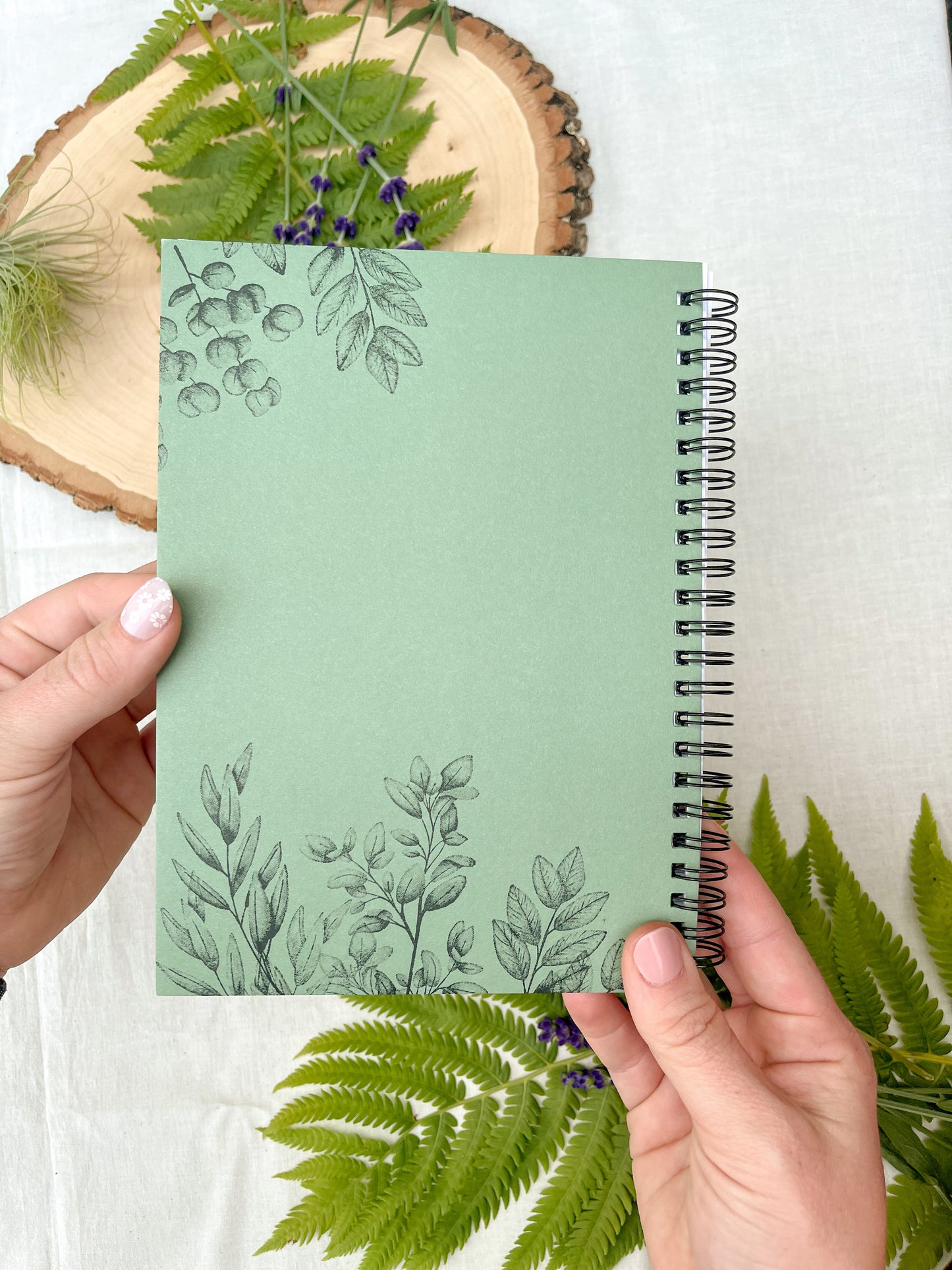 Fern Journal