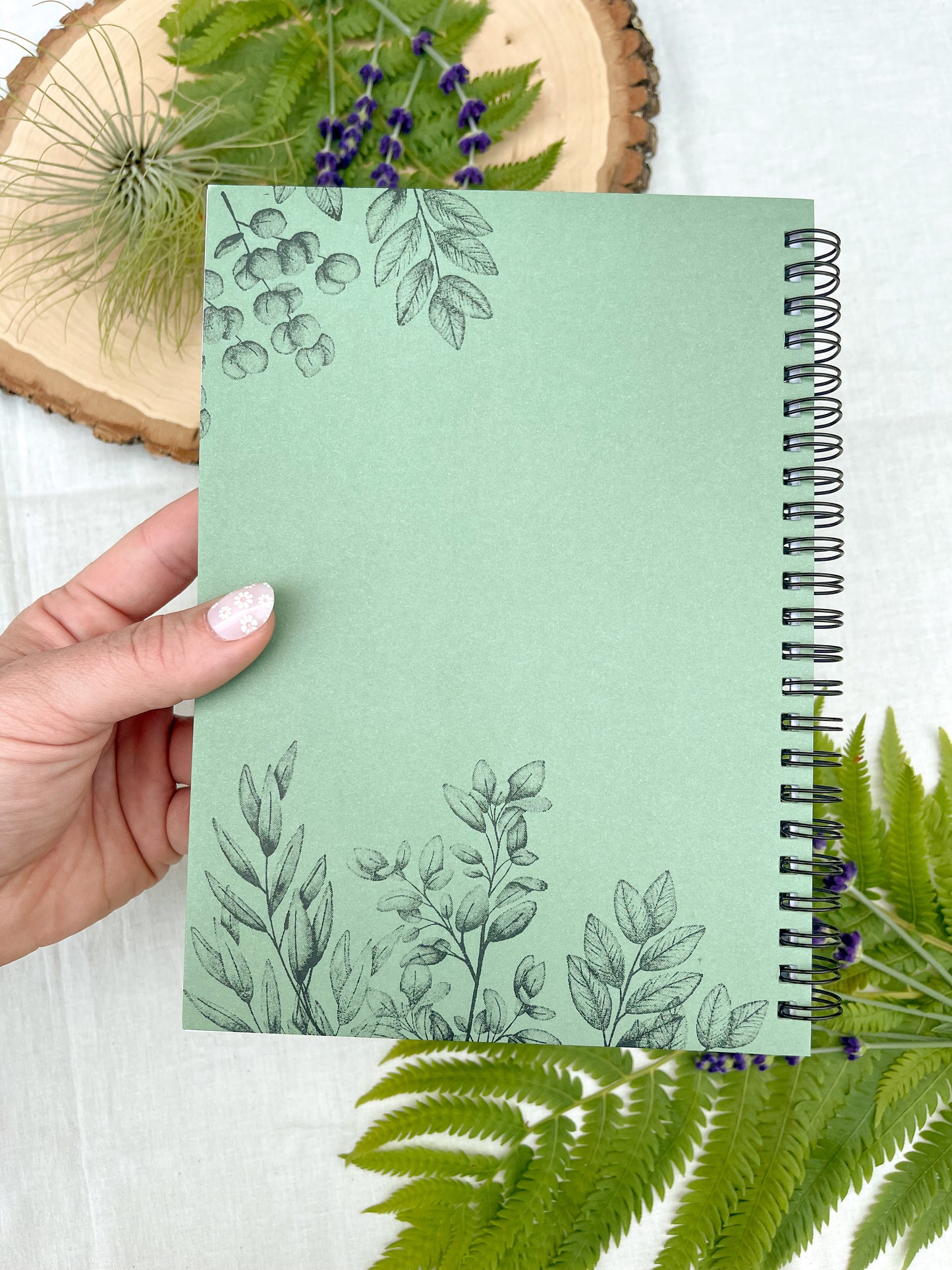 Fern Journal