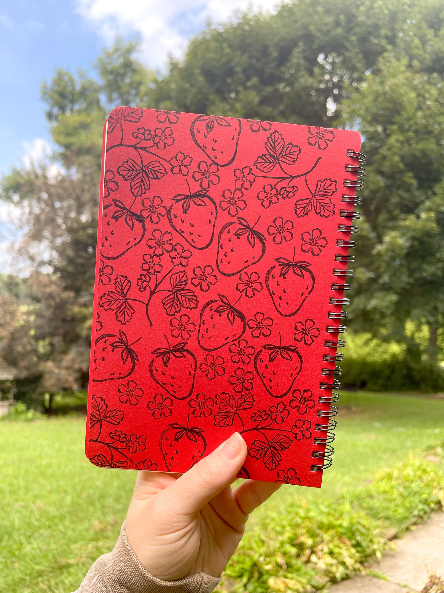 Strawberries Journal